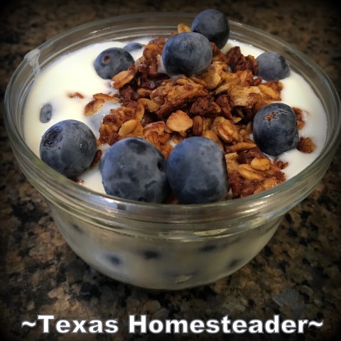 Σπιτικό γιαούρτι με granola και βακκίνια. #Texashomesteader
