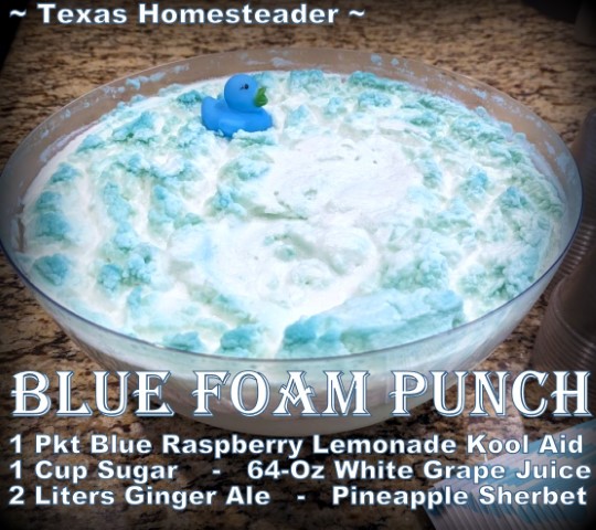 Baby Shower - Μπλε αφρώδες Punch Blue Raspberry Drink Mix, ζάχαρη, τζίντζερ, ανανά, λευκό χυμό σταφυλιών. #Texashomesteader
