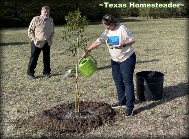Mourner Watering Memorial Tree ενώ απαγγέλλει το ποίημα μετά τη φύτευση δέντρου μνήμης. #Texashomesteader