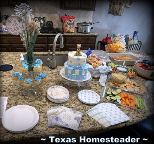 Baby Shower - Μπουφέ φαγητό, κέικ, cupcakes, δίσκο λαχανικών, δίσκο φρούτων, χούμους, ρυθμιστικά κλπ. #Texashomesteader
