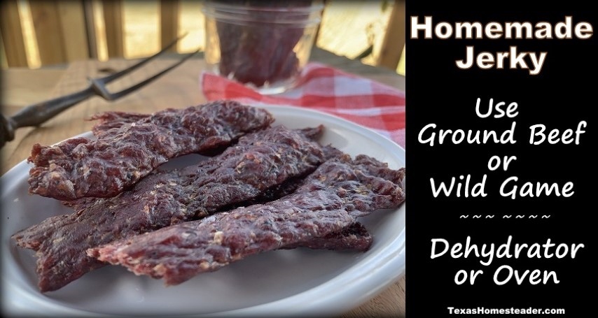 Το σπιτικό jerky έκανε εύκολη χρησιμοποιώντας αλεσμένο βοδινό κρέας ή άγριο παιχνίδι #texashomesteader