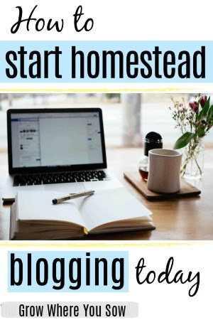 Πώς να ξεκινήσετε το blogging του Homestead