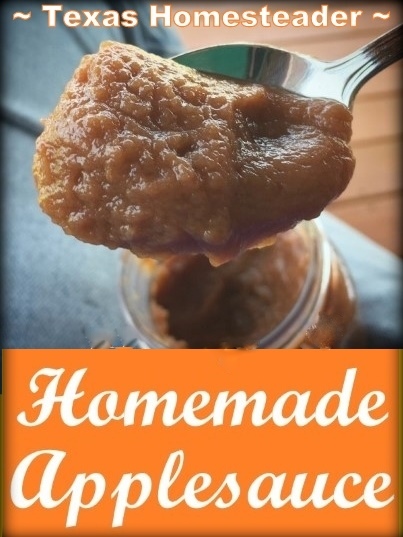 Applesauce σε ένα κουτάλι. Σπιτικό Applesauce Easy συνταγή αργή κουζίνα Apple #TExashomesteader