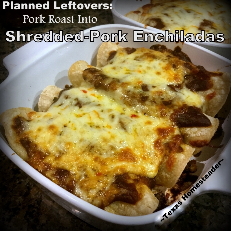 Απομένει ψητό σε τραβηγμένο χοιρινό enchiladas