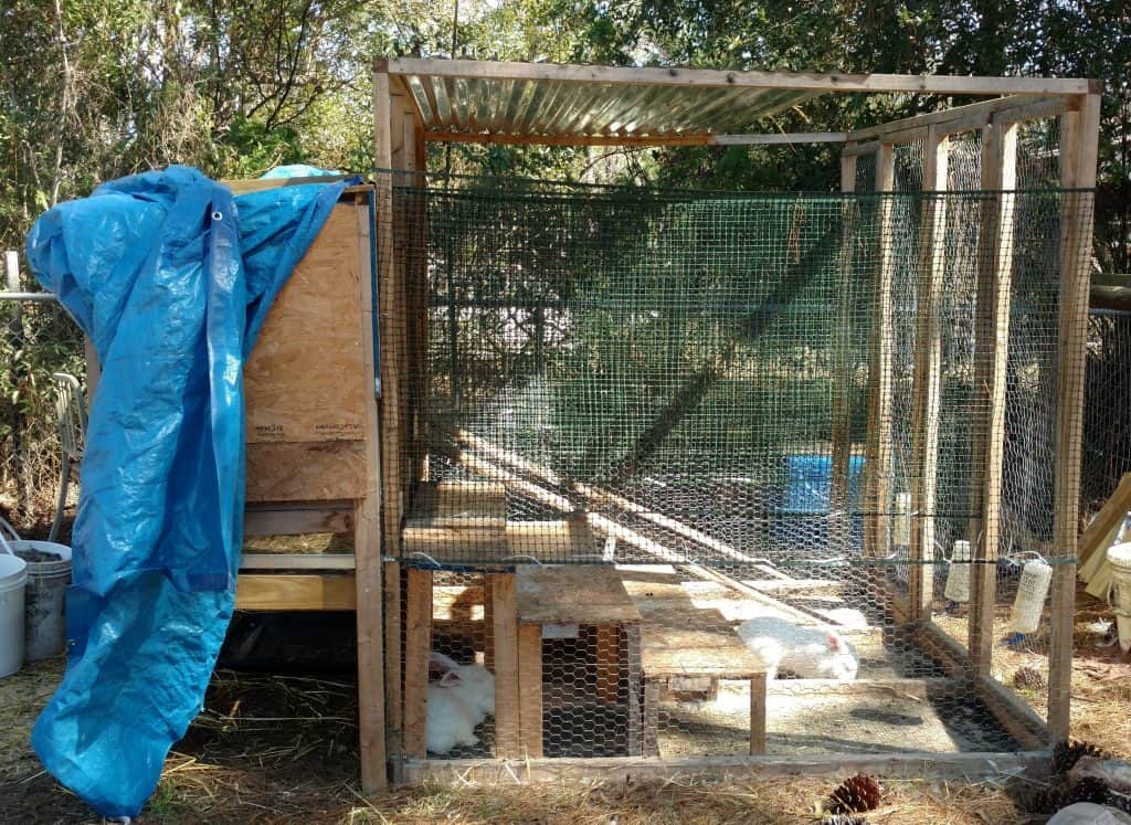 δεύτερο έτος στο σπίτι