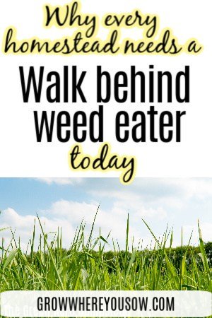 Περπατήστε πίσω από το Weed Eater