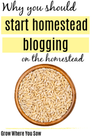 Γιατί πρέπει να ξεκινήσετε το blogging του Homestead