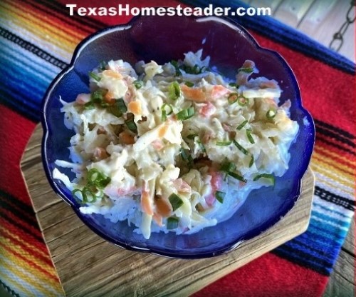 Creamy Coleslaw με λάχανο, καρότα και κρεμώδη μαγιονέζα, ξύδι, σπόρους σέλινου #Texashomesteader