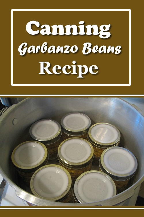 Canning Garbanzo φασόλια συνταγή