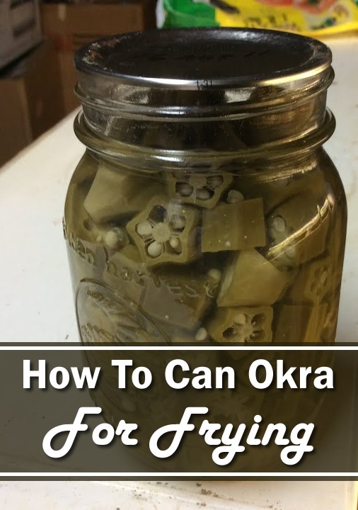 Κονσερβοποίηση okra για τηγάνισμα